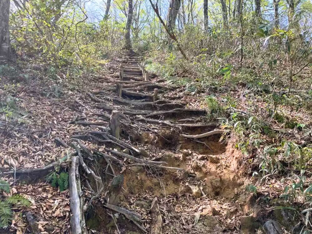 登山道