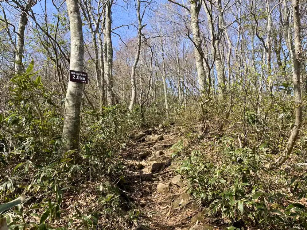登山道　荒島岳まで2.0Km