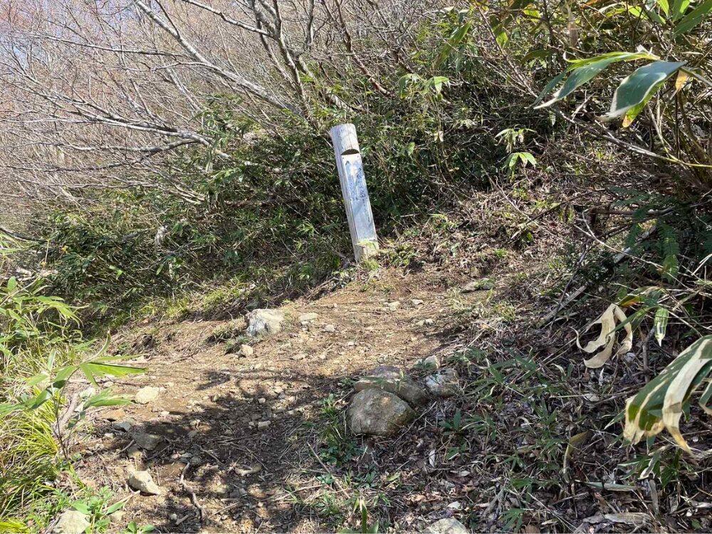分岐点