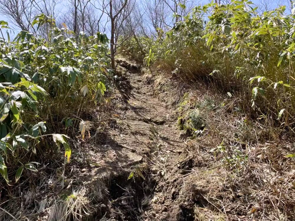 急で滑る登山道