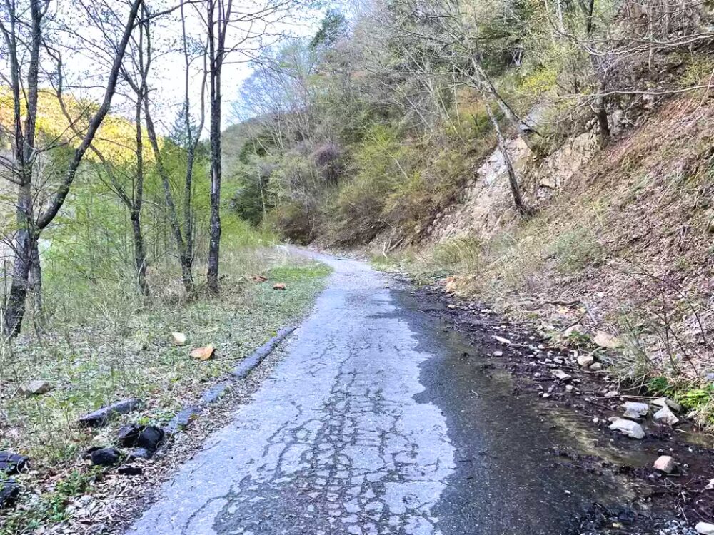 車道