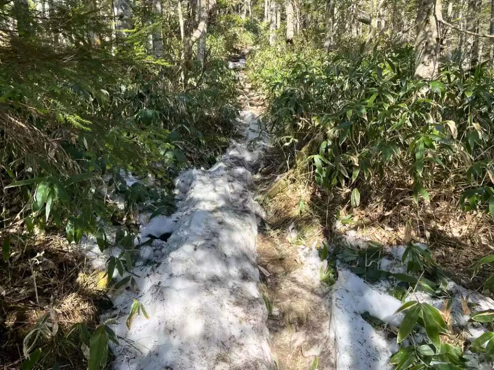 残雪の登山道