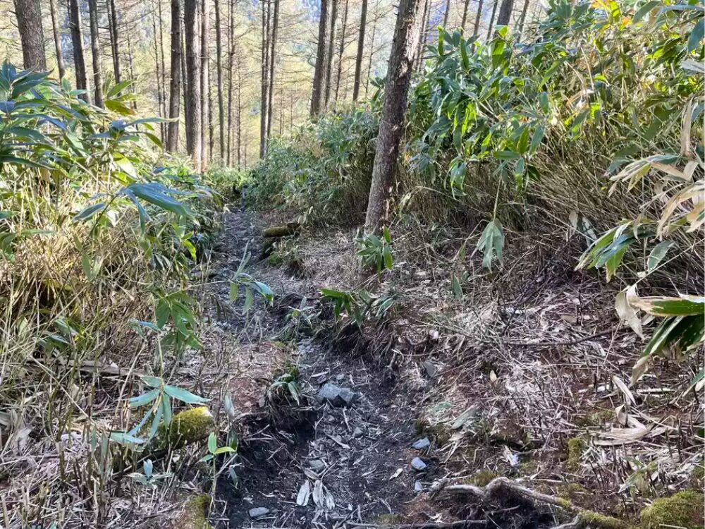 急な登山道2