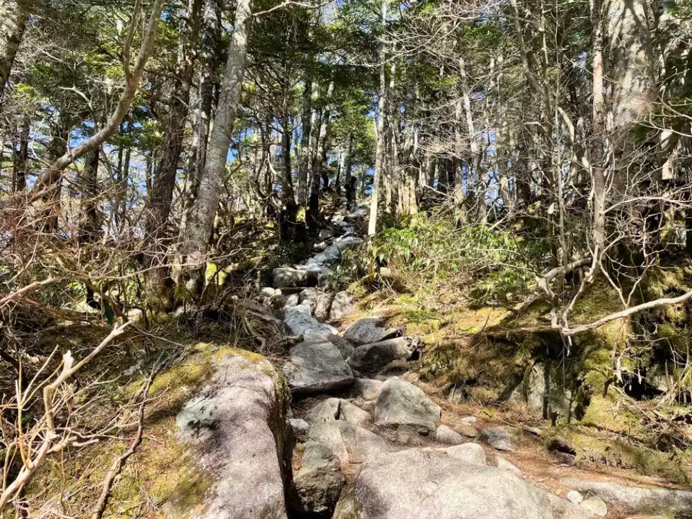 岩の登山道