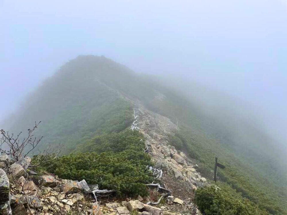 雨の稜線歩き