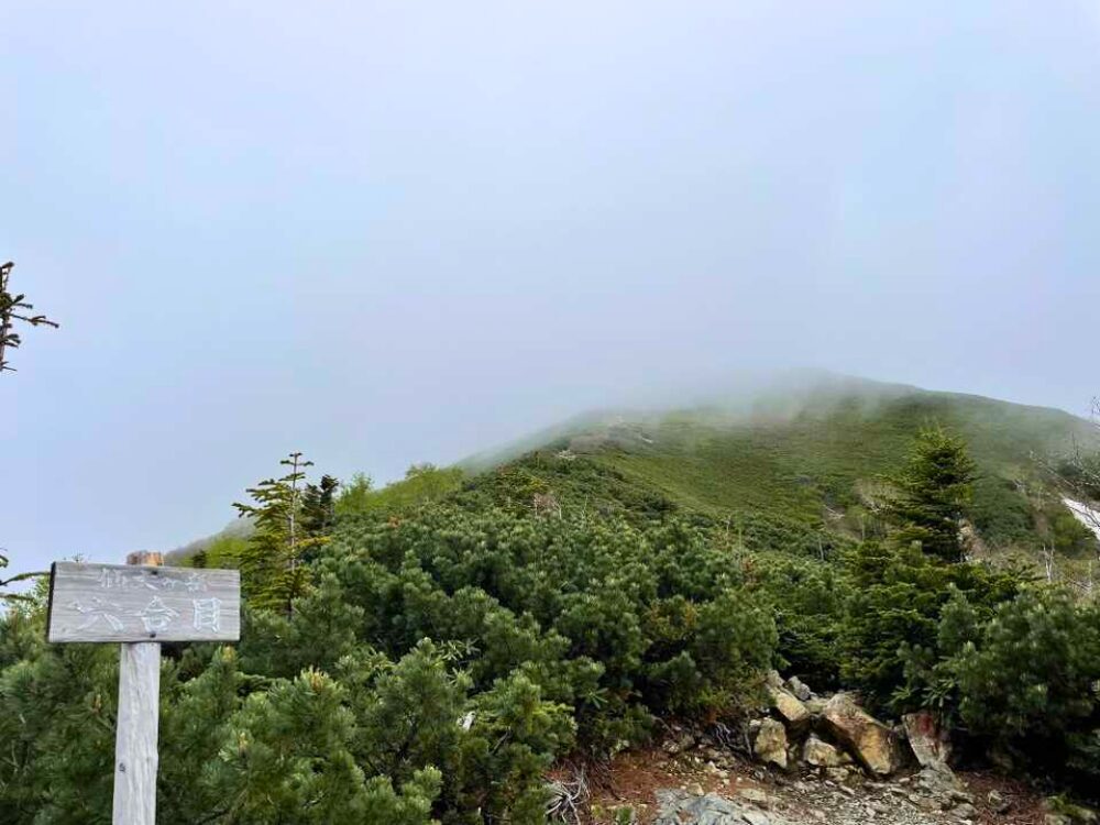 仙丈ヶ岳 六合目