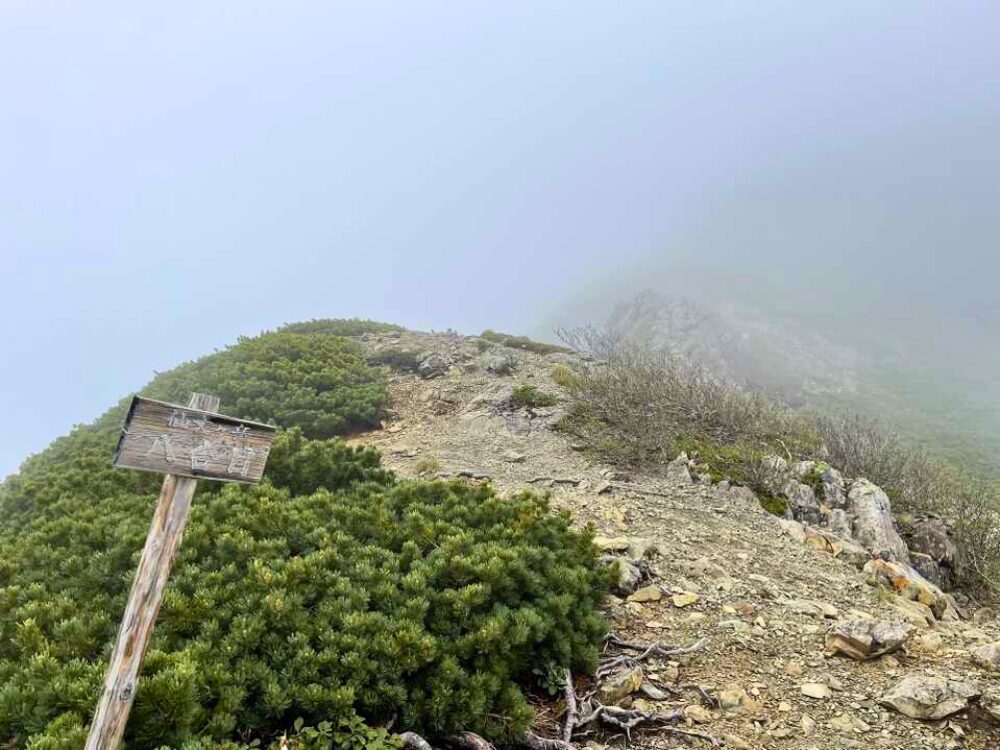 仙丈ヶ岳 八合目