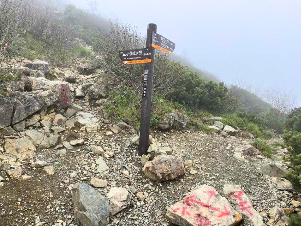 小仙丈ヶ岳と仙丈ヶ岳の分岐