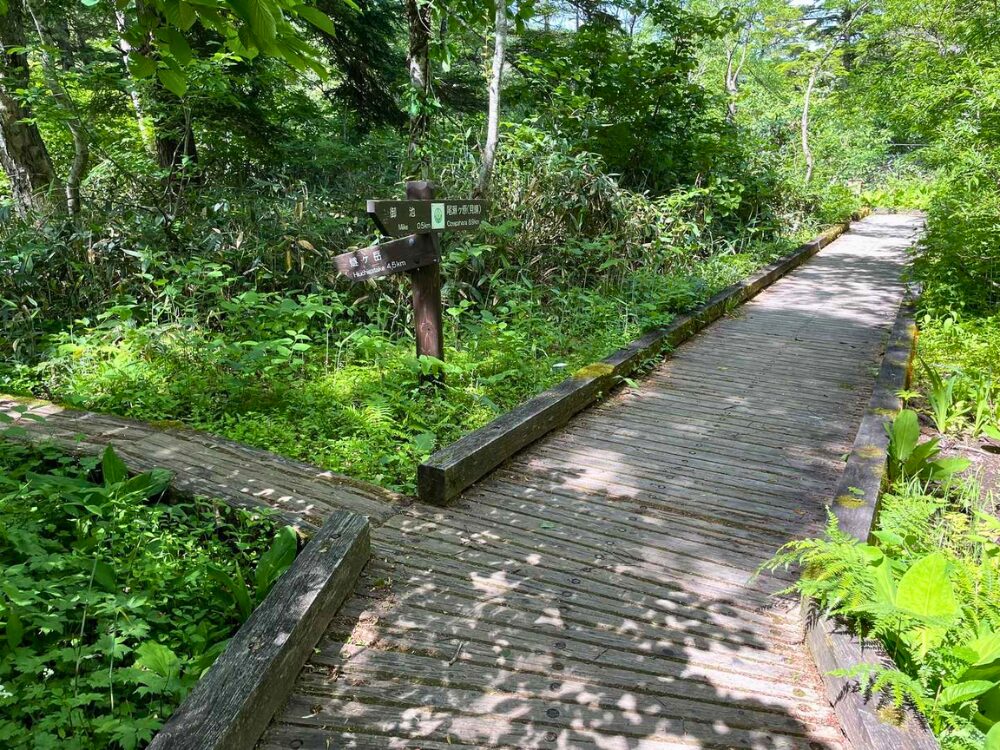 尾瀬と燧ヶ岳の分岐