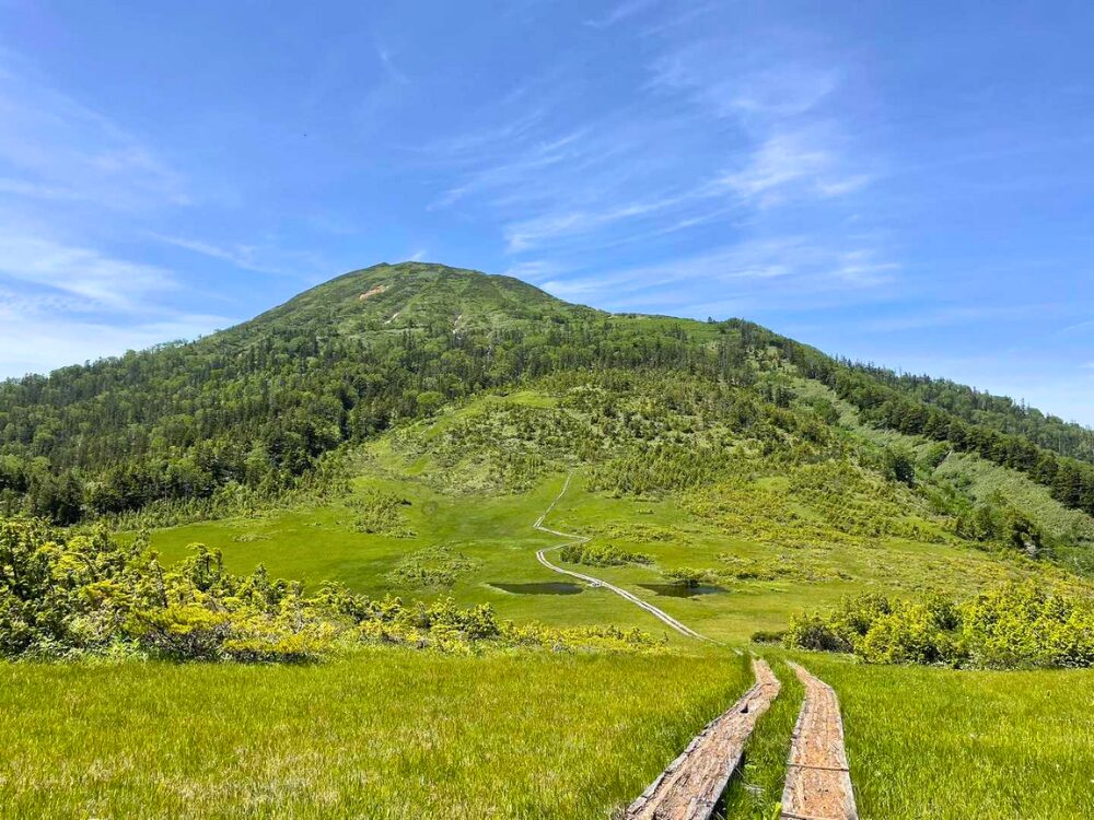 燧ヶ岳 湿原