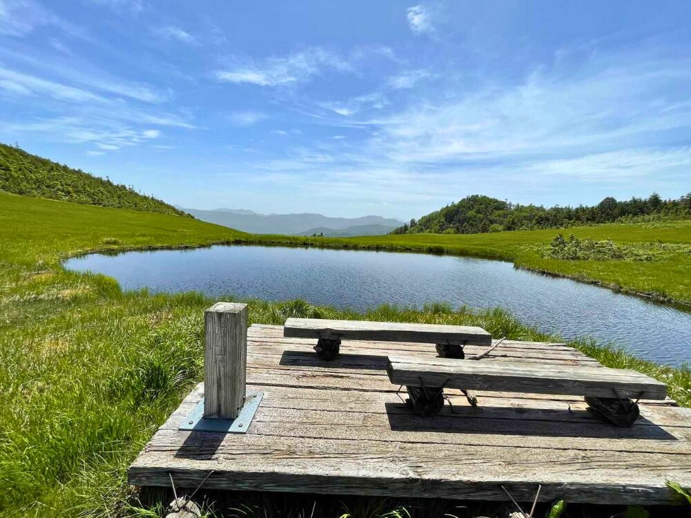 湿原と休憩ポイント