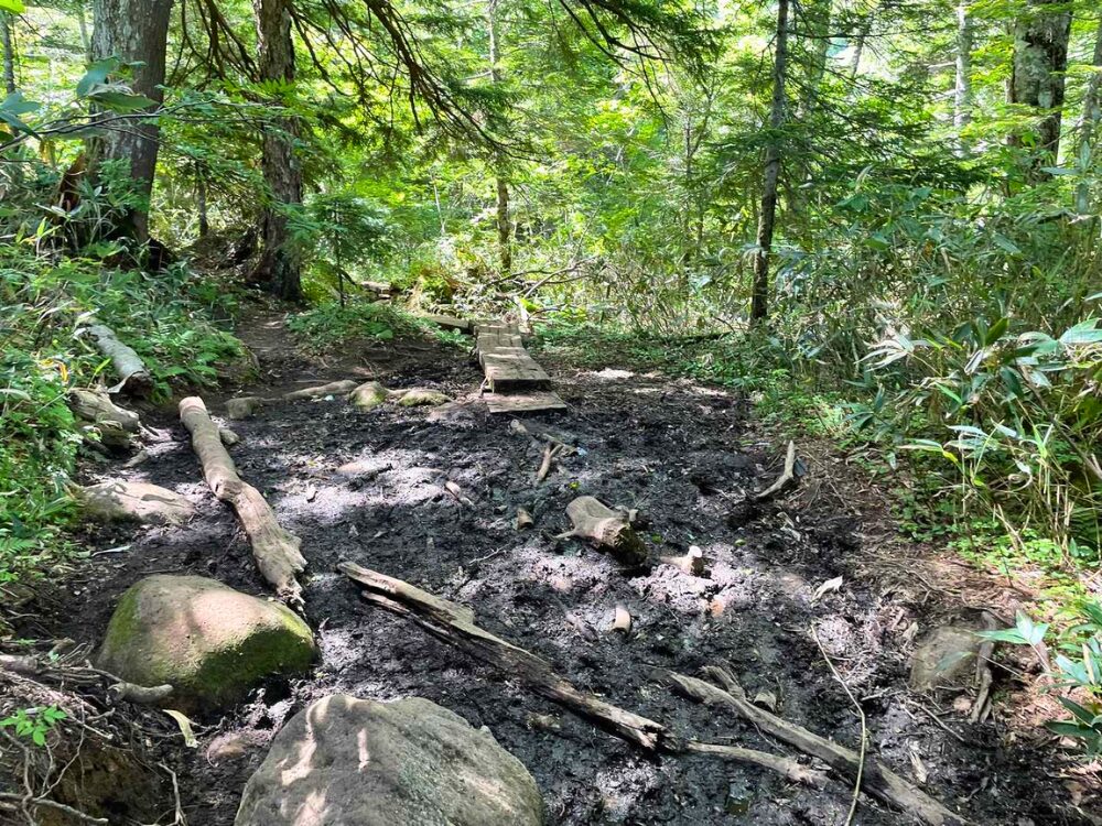 登山道中のぬかるみ
