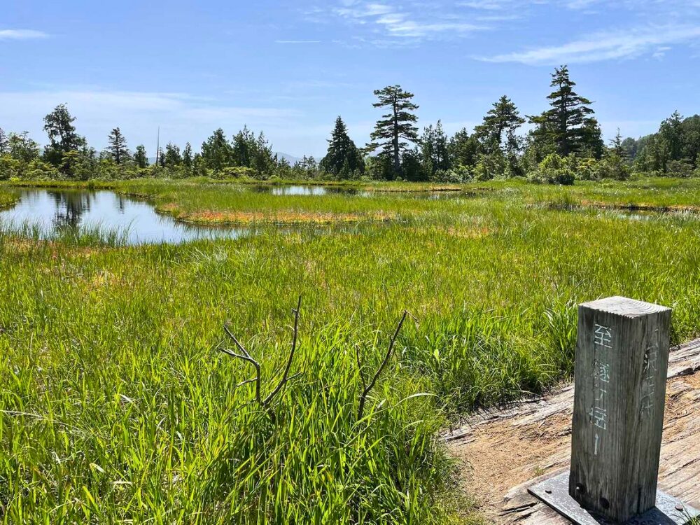 燧ヶ岳 湿原