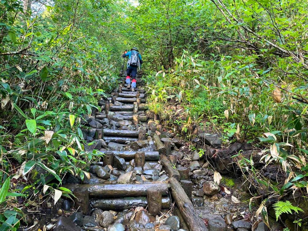 水の滴る登山道