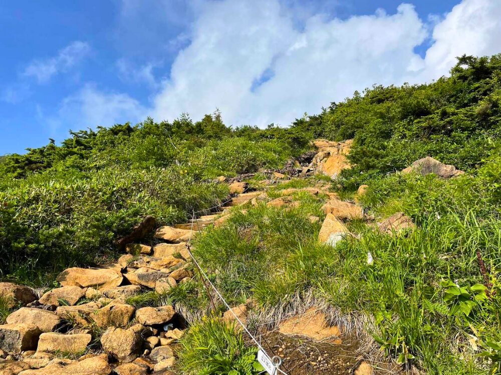 岩の登山道