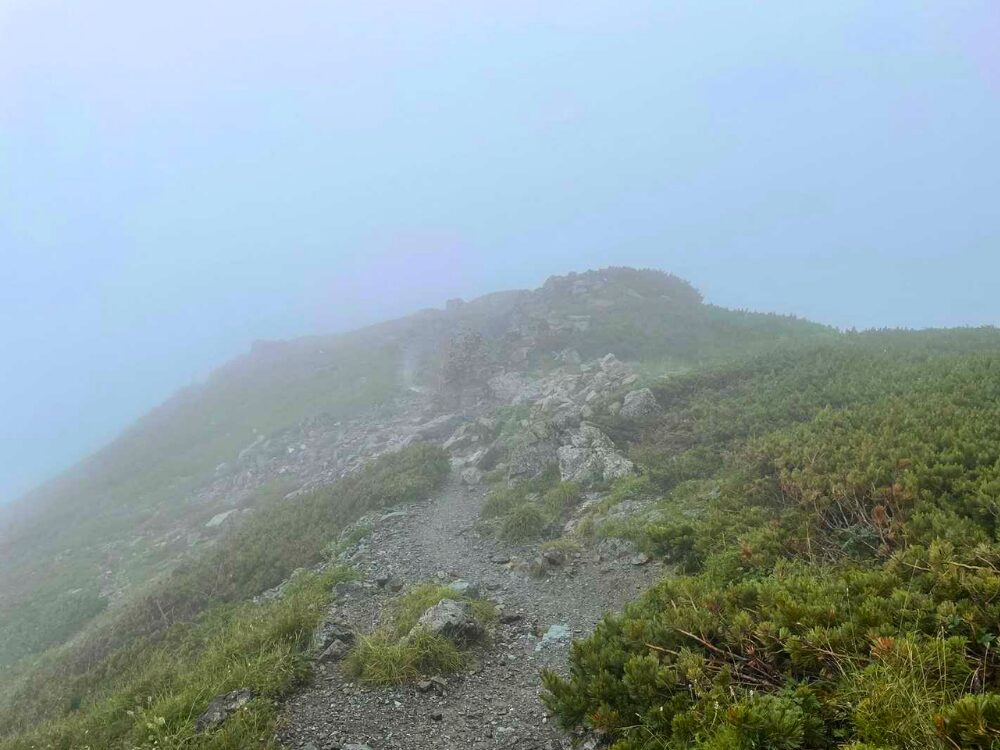 雨の登山道