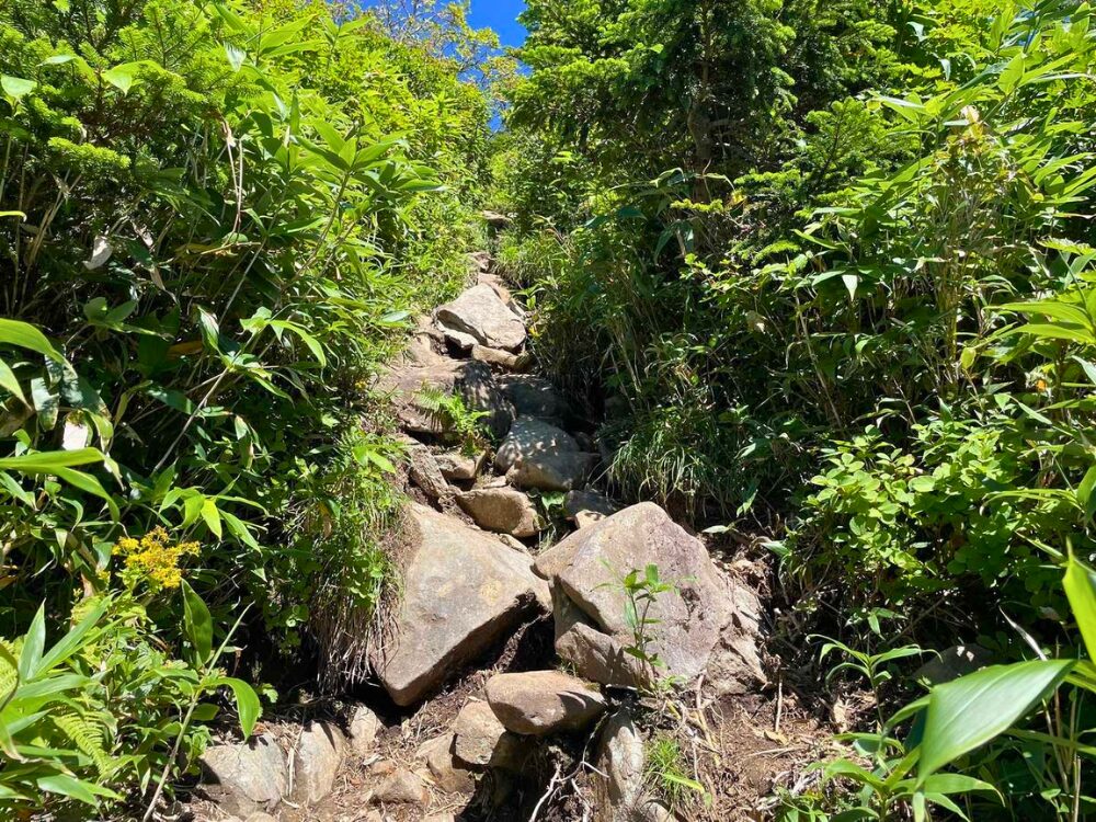 岩の登山道
