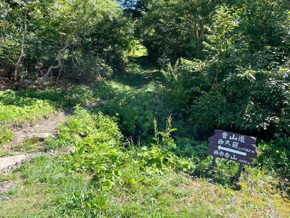 登山口