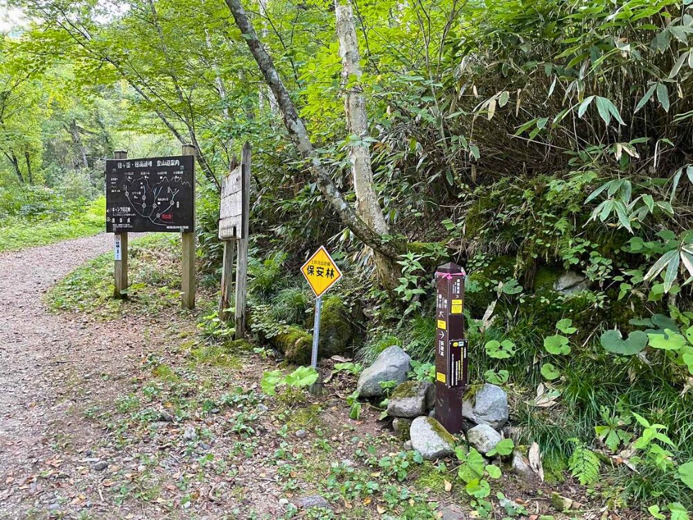 白出沢口
