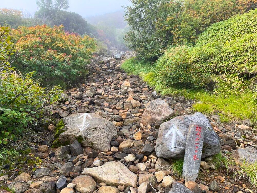 御嶽山の標高2,100mの河原のような登山道