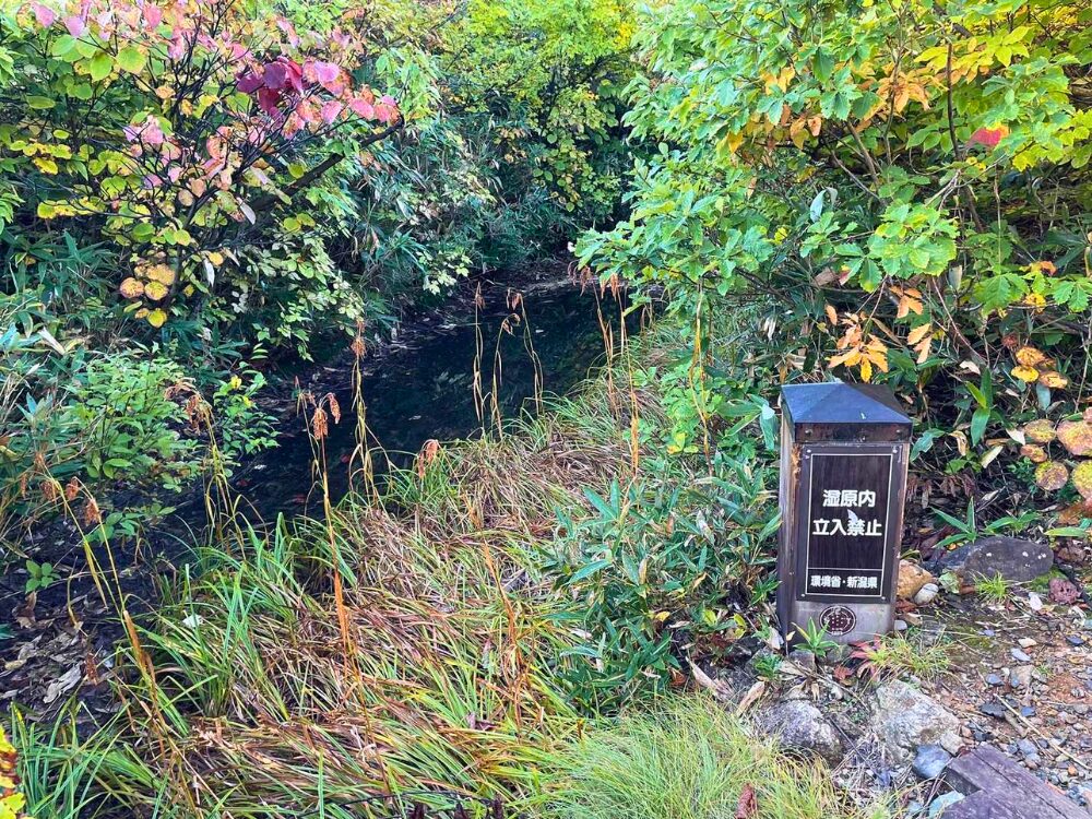 越後駒ヶ岳にある小さな湿原