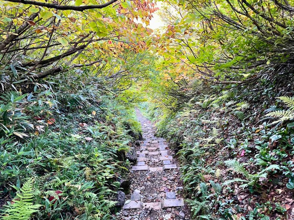 越後駒ヶ岳の急な下りの登山道