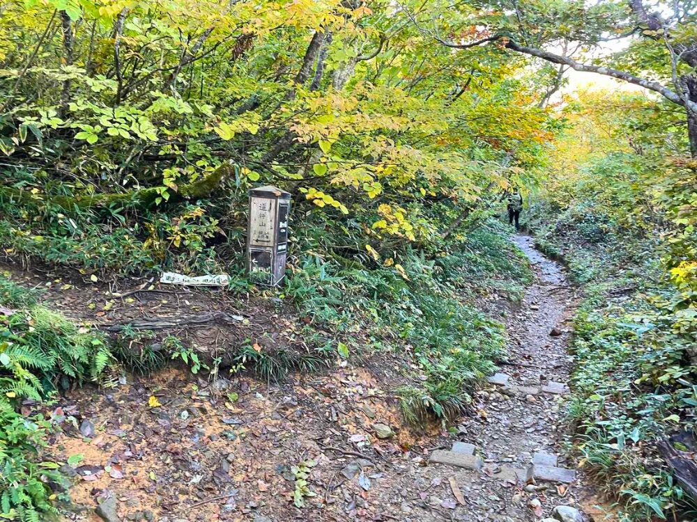 道行山と越後駒ヶ岳の分岐点