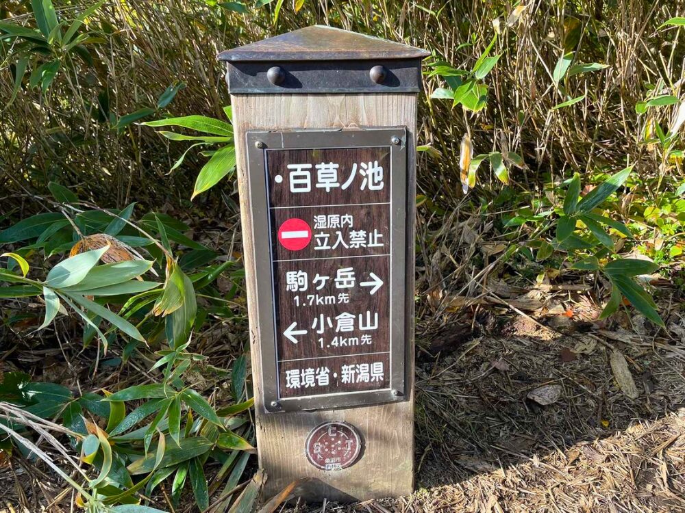 越後駒ヶ岳の百草ノ池