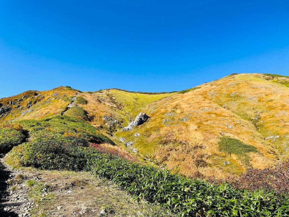 駒の小屋からの越後駒ヶ岳山頂