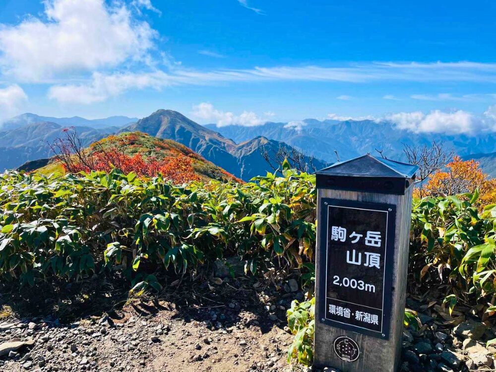 越後駒ヶ岳の山頂看板と山々