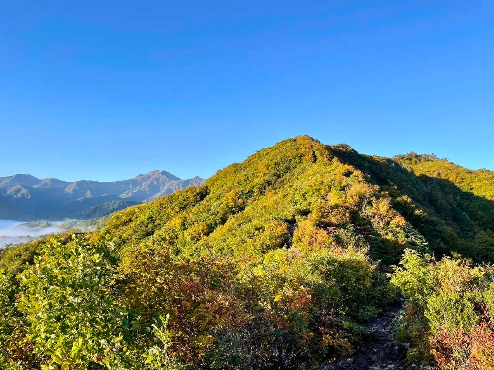 越後駒ヶ岳の稜線と周りの山々