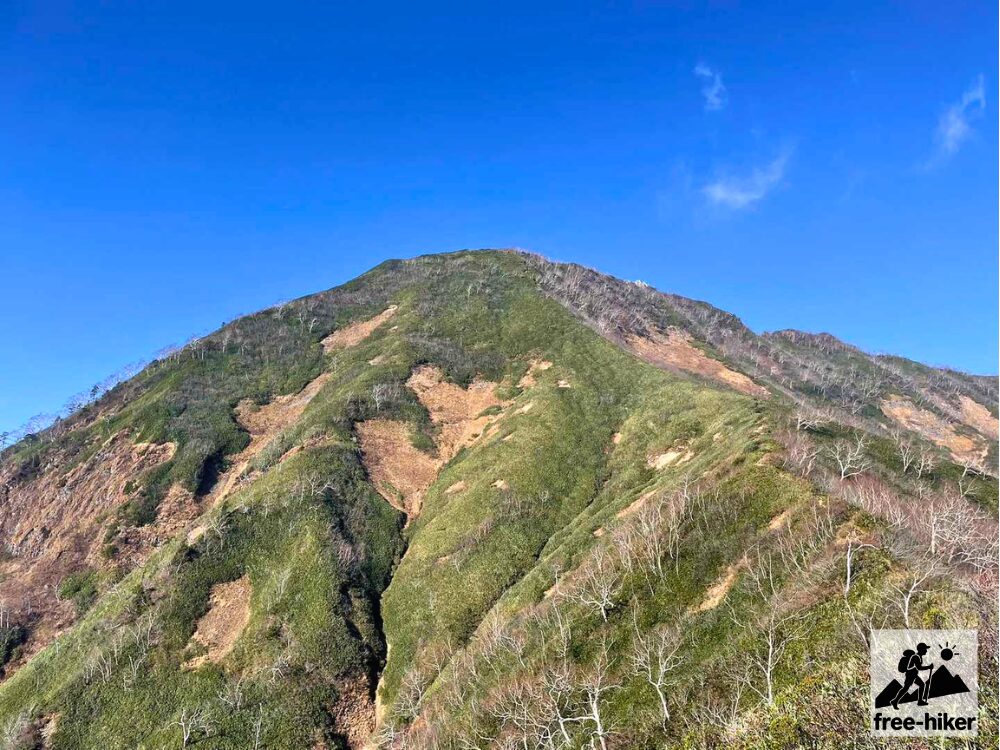 登山道から見た高妻山