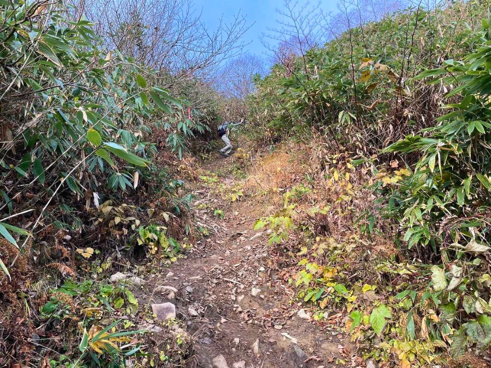 高妻山の急な登山道
