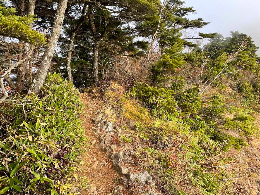 高妻山の登山道