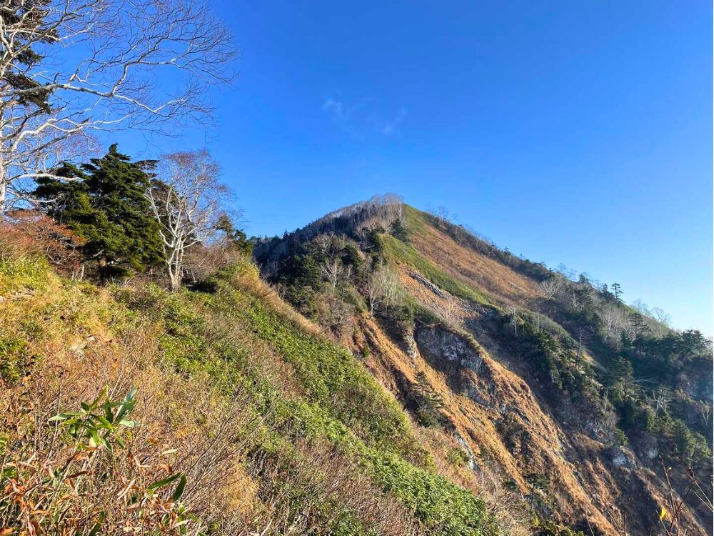 登山道から見た高妻山の稜線