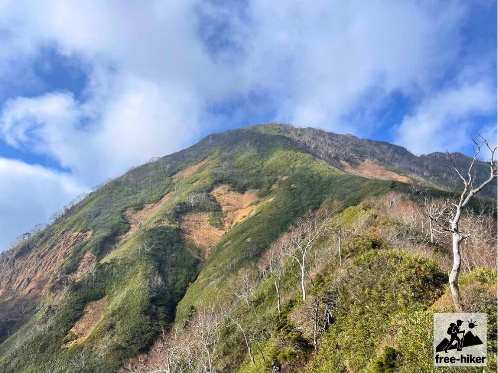 登山道からみた高妻山