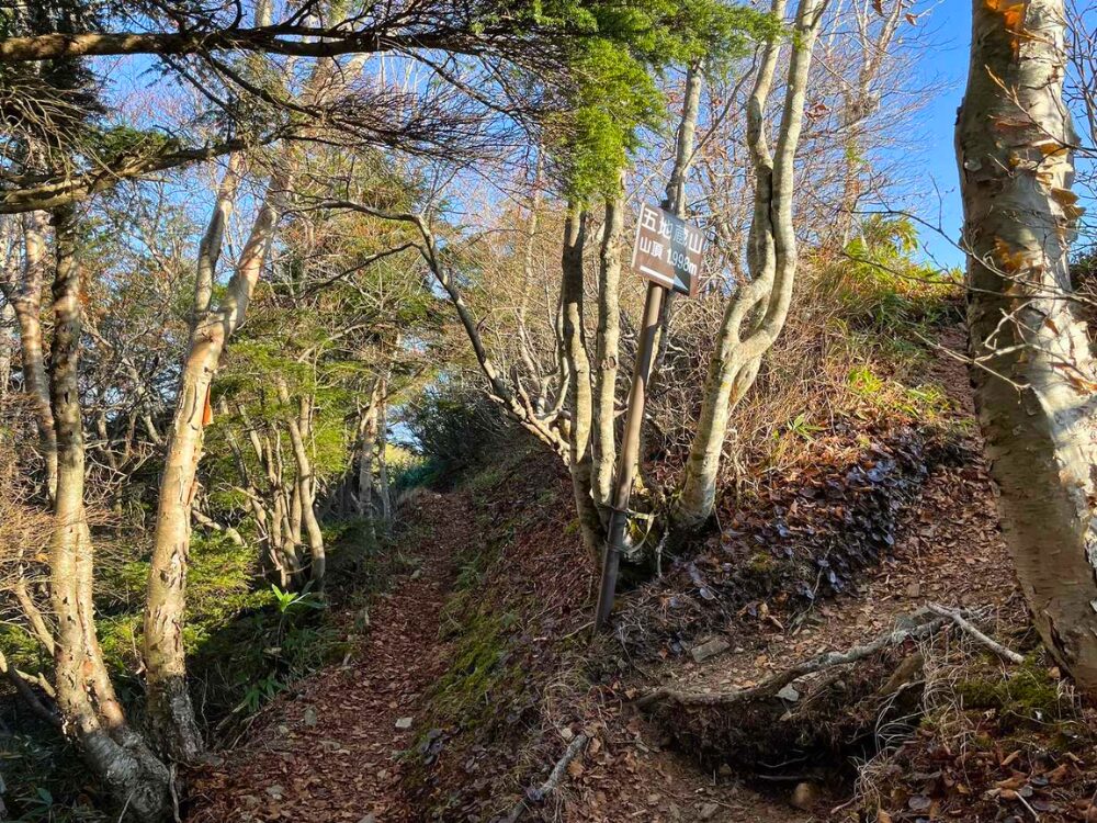 高妻山の五地蔵山との分岐