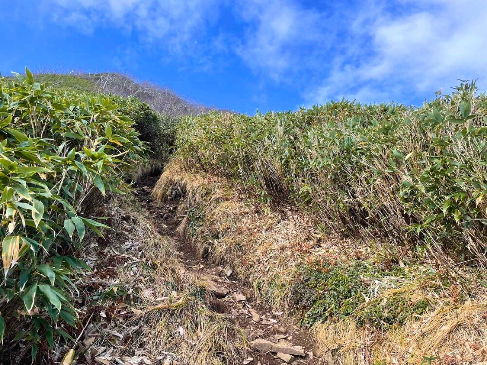 高妻山山頂までの急な登山道