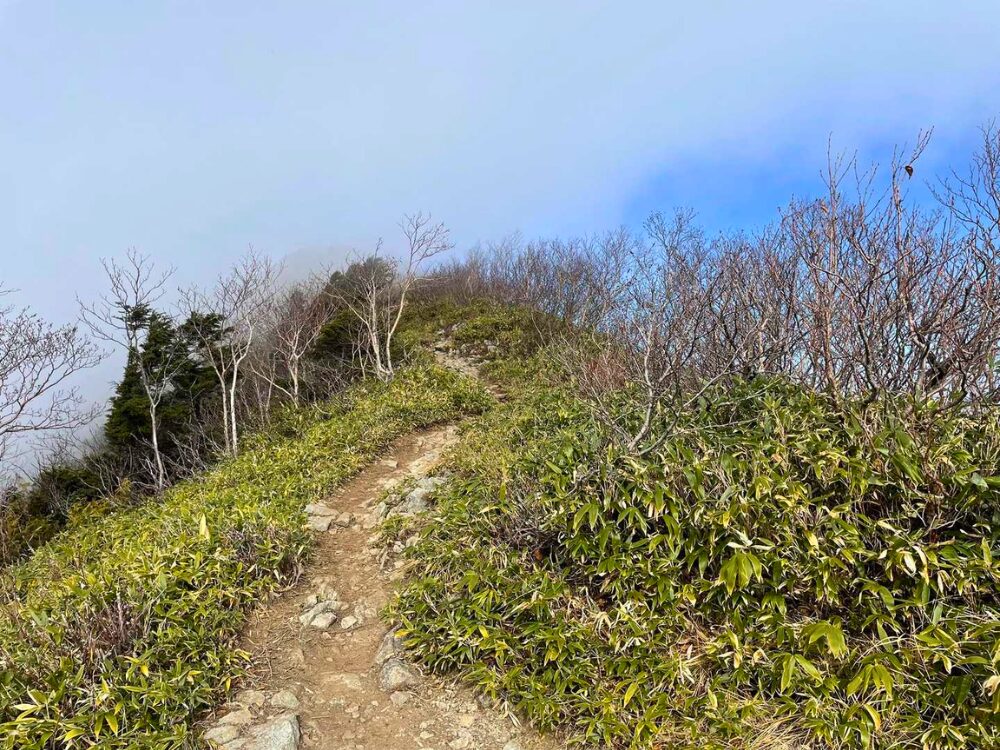 高妻山の稜線