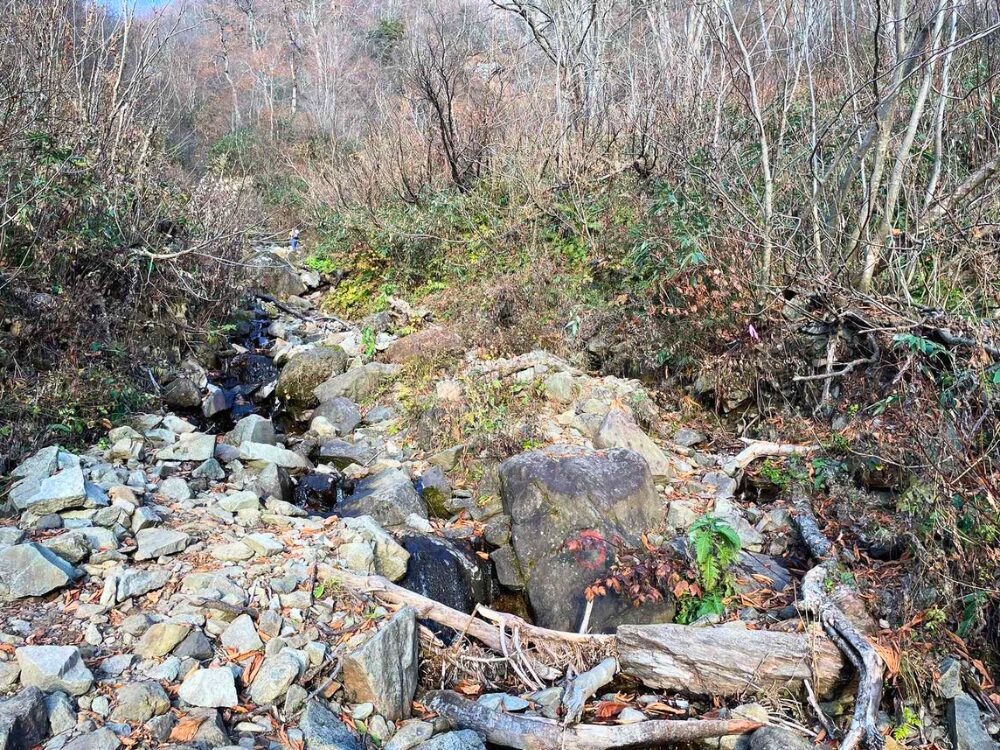 高妻山登山道脇の沢