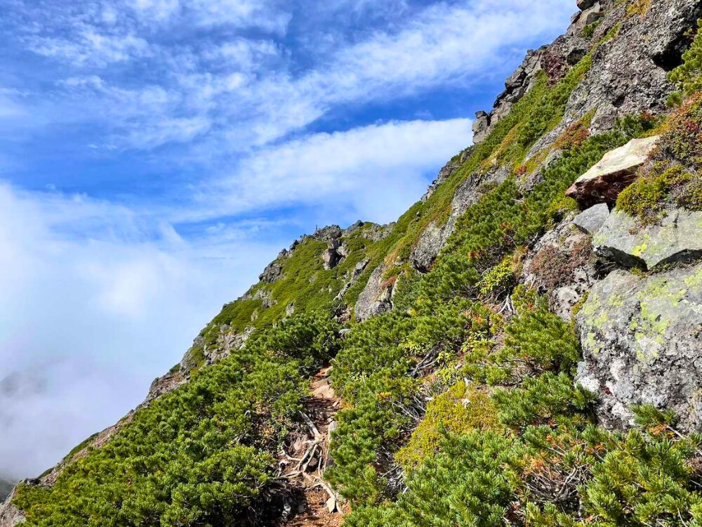 摩利支天山までの登山道
