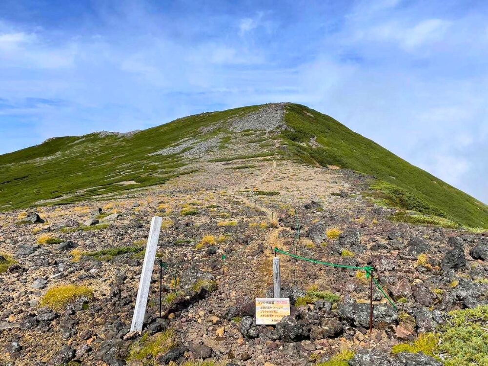 継子岳までの登りの登山道