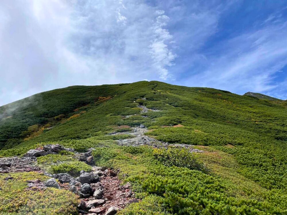 四の池脇の登りの登山道