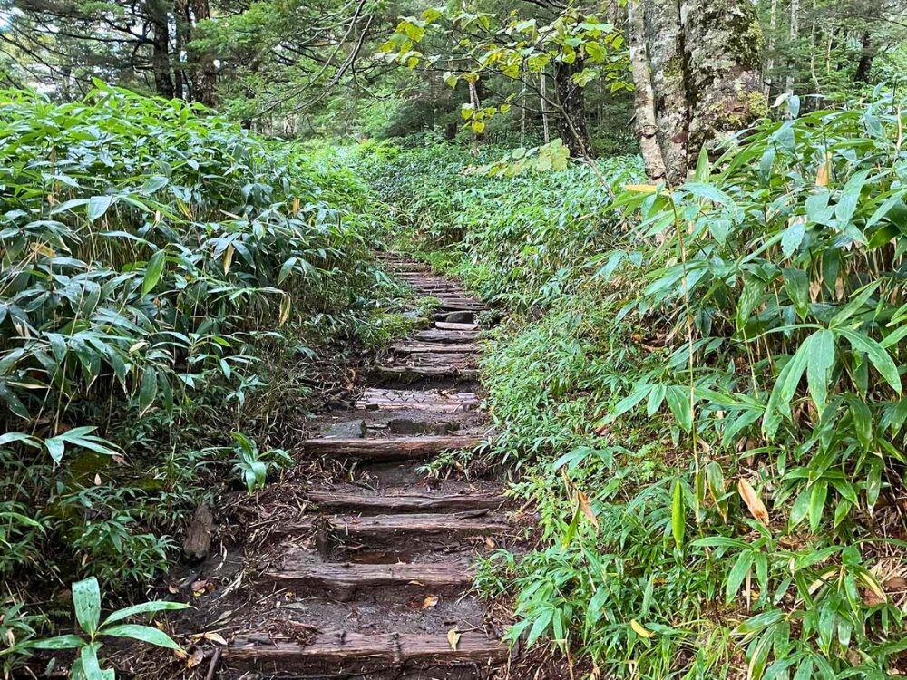 御嶽山の黒沢口付近の登山道風景