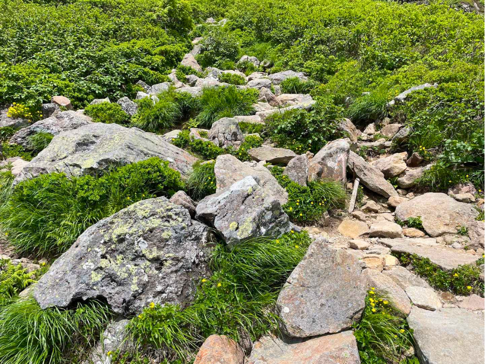 岩木山のゴロゴロの岩がある登山道