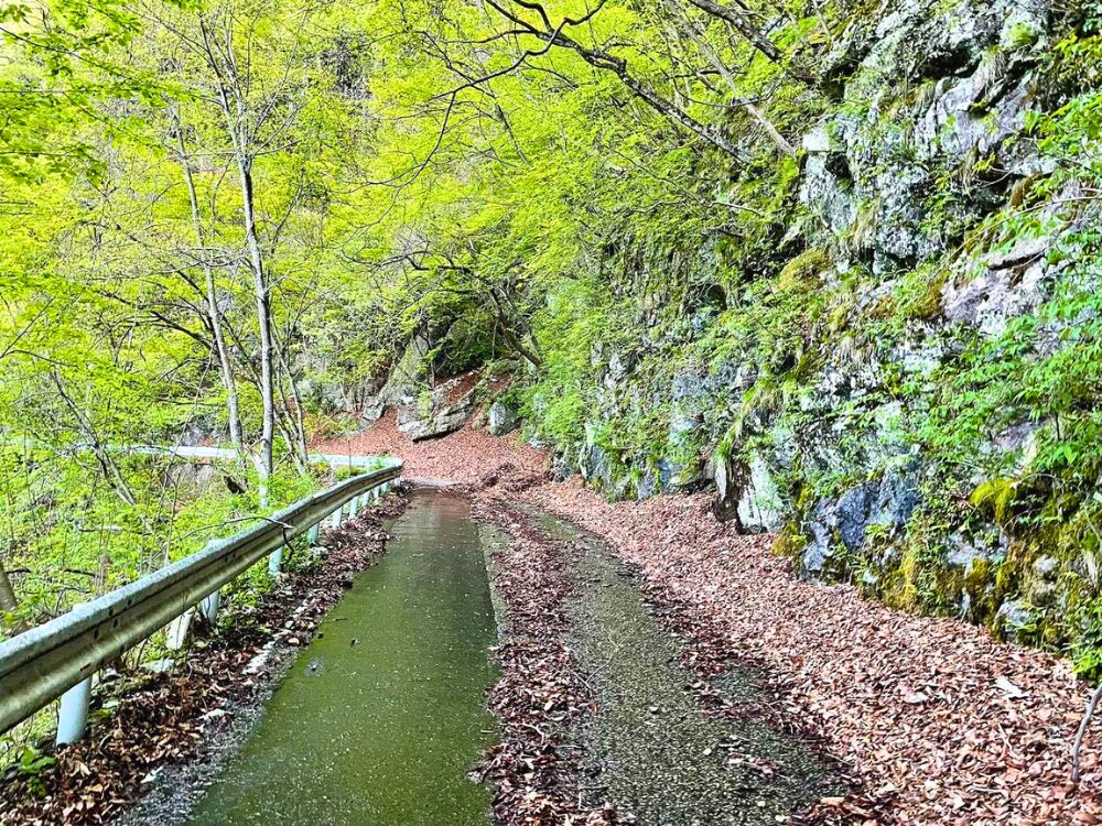 登山口までのアスファルト舗装路