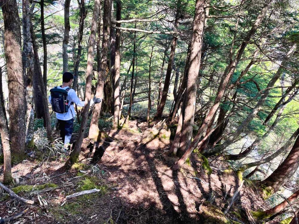 皇海山までの下りの登山道