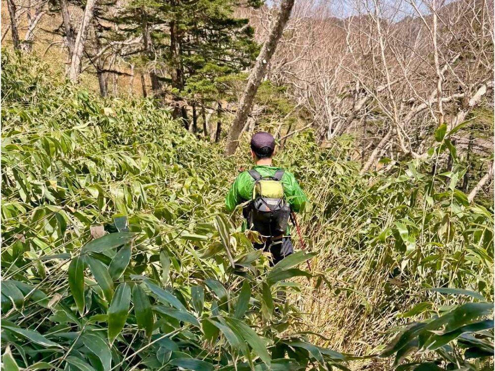 藪漕ぎをしている人