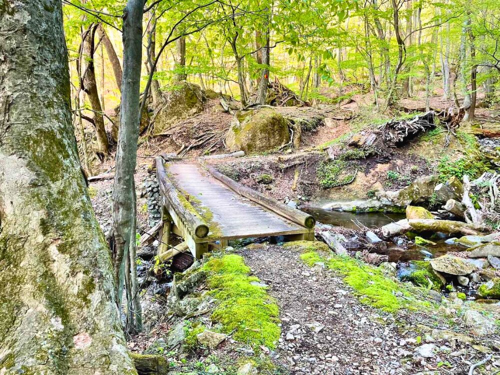 登山道の木製の橋